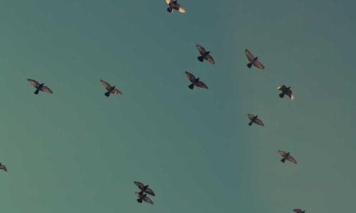 Why You're Exhausted by 3 PM (and It's Not the Kids): A Parent's Guide to Beating Decision Fatigue