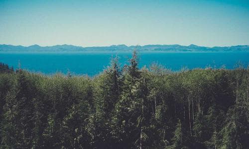 How to Split Family Vacation Planning With Your Partner (Without Resentment)