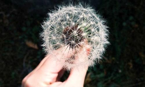 Why Every Chore App You've Tried Has Failed (And What Actually Works Instead)